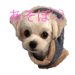 junko_20191126194908