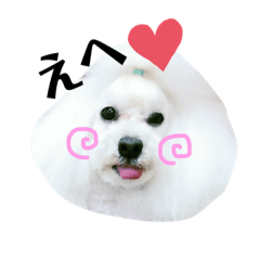 Minami_20191126223207