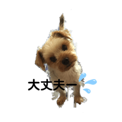 Sally_20191126235040