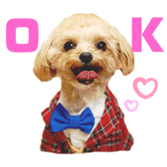 Saori_20191126234851