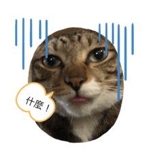 麻糬米漿