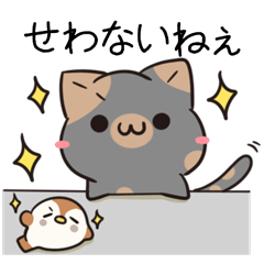 Saitama dialect Tortoiseshell cat & bird