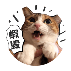 毛Hen多系列.Part1