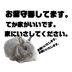 うさぎ言 Lineクリエイターズスタンプ Stamplist