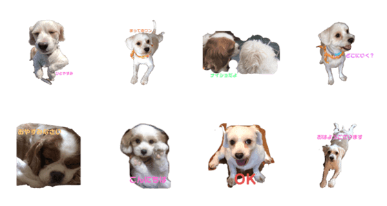 私の家族犬 Lineクリエイターズスタンプ Stamplist