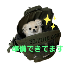 SAYA_20191126