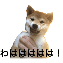 kyoko_20191127115724