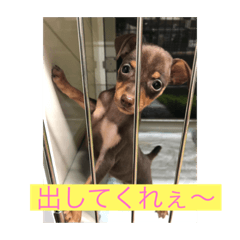 my_20191127161629