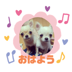 an&leo stickers