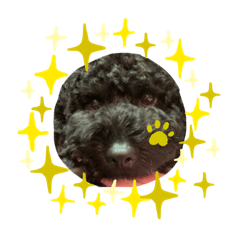 yama_20191127153819