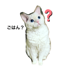 Tetsu_20191127181722