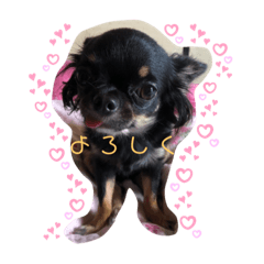 micchi_20191127174500