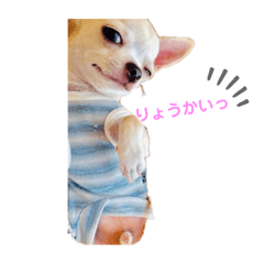 kuu_20191126232124