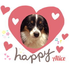 yukari_20191127150045