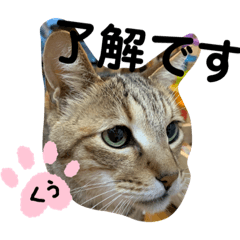 SAYA_20191127213254