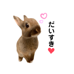 うさぎのはぐたんスタンプ♡