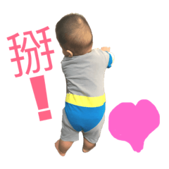 明書寶寶2019