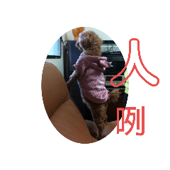 咪露13