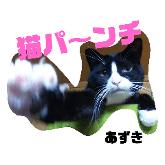 akiko_20191127220048