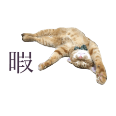 asako_20191128001247