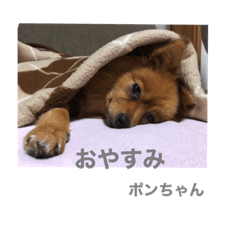 Ponta_20191127150834