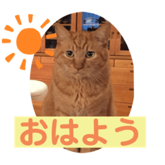SAYA_20191127180421