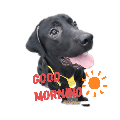 Natsumi_20191127234512