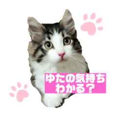 nanana_20191128102936