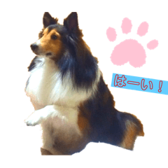 Tatsuya.itou_20191128021756