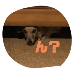 chie_20191128111820