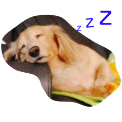 riku_201911281333310212