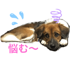 maron_20191127235808