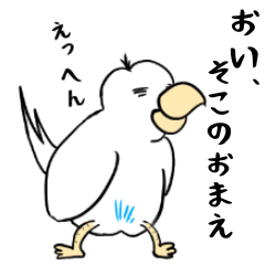 勝気なインコのもちちゃん