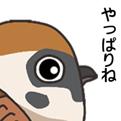 野鳥の会話2