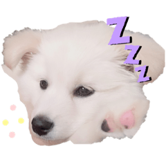 arisa_20191127215219