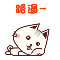 Happy cat's daily life 2 (TW/HK)