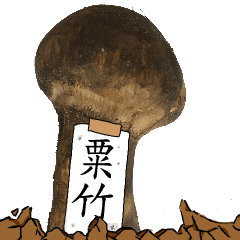 松茸研究家粟竹さんのマツタケ