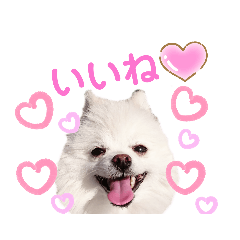 mina_20191128182004