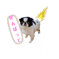 mikihana_20191128192349