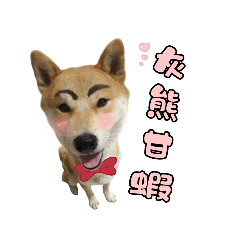 廢柴的寫真❤