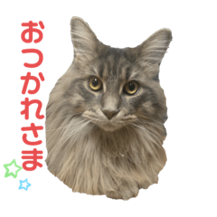 rii_20191128183135