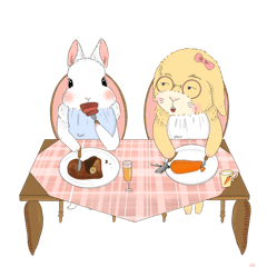 Rabbit Meru and Yuki