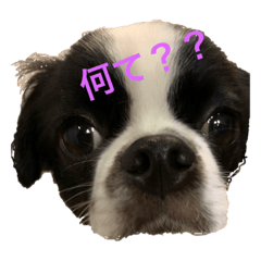 Kazumi_20191128205729