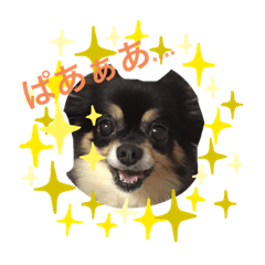 omochi_20191128211915