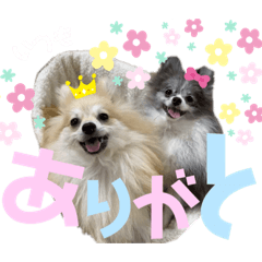 nico_20191128133453