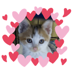 akiko_20191128220123