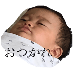 rei_20191115