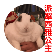 ～派翠西雅公主～