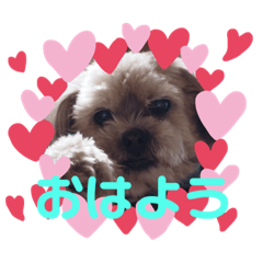 AOI_20191128232925