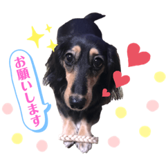 mame_20191128234956